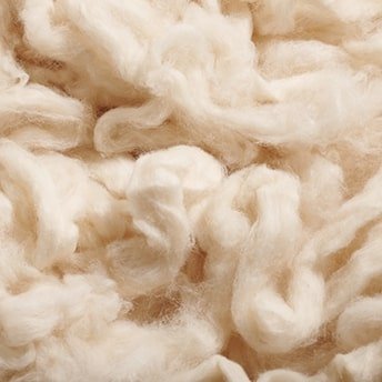 Brazilian wool